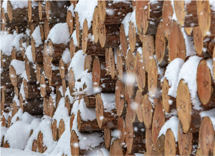 Atelier02の建築イメージ3